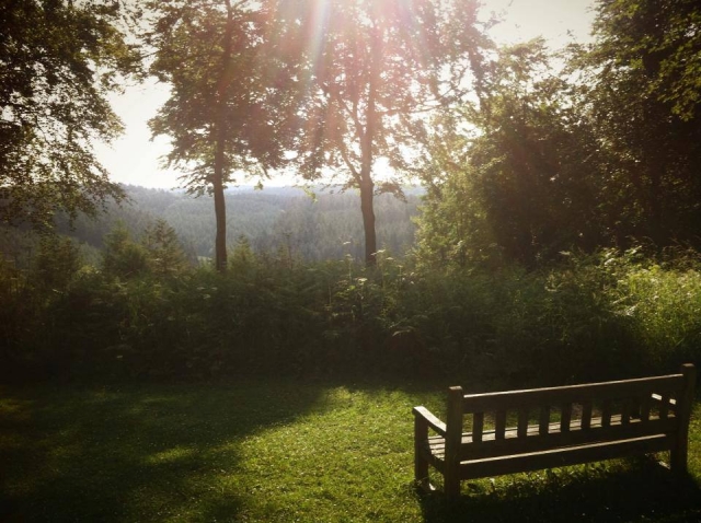  Puede experimentar hermosas vistas 